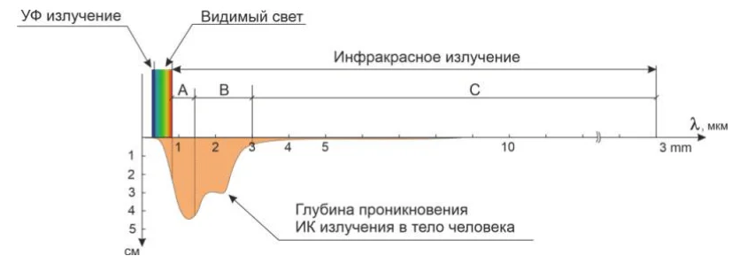 Экспериментальные исследования спектров при прохождении света через ткани человека 11