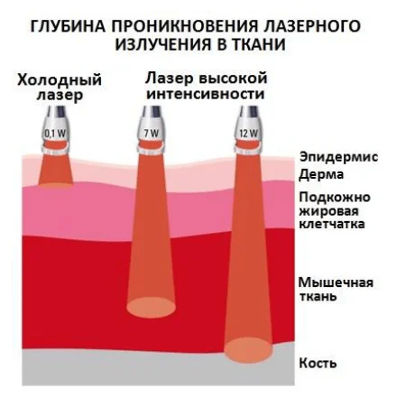 Экспериментальные исследования спектров при прохождении света через ткани человека 13