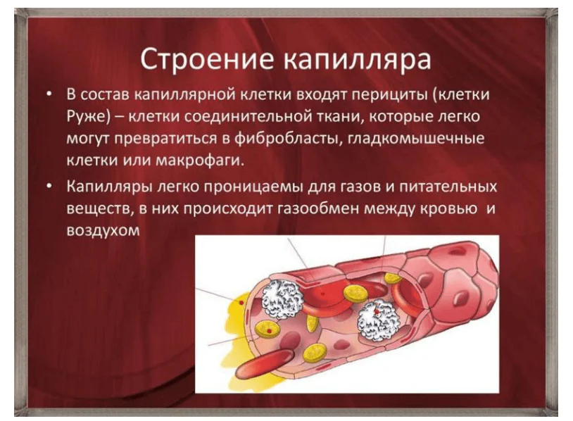 Гипотеза о механизме распространения света через ткани человека 18