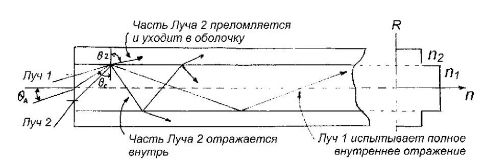 Проверка светопроводности сосудистой системы 5 Проверка светопроводности сосудистой системы 5